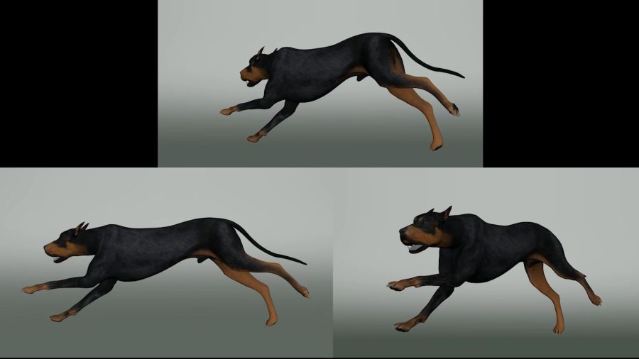 狗跑步循环动画，带完整动画文件