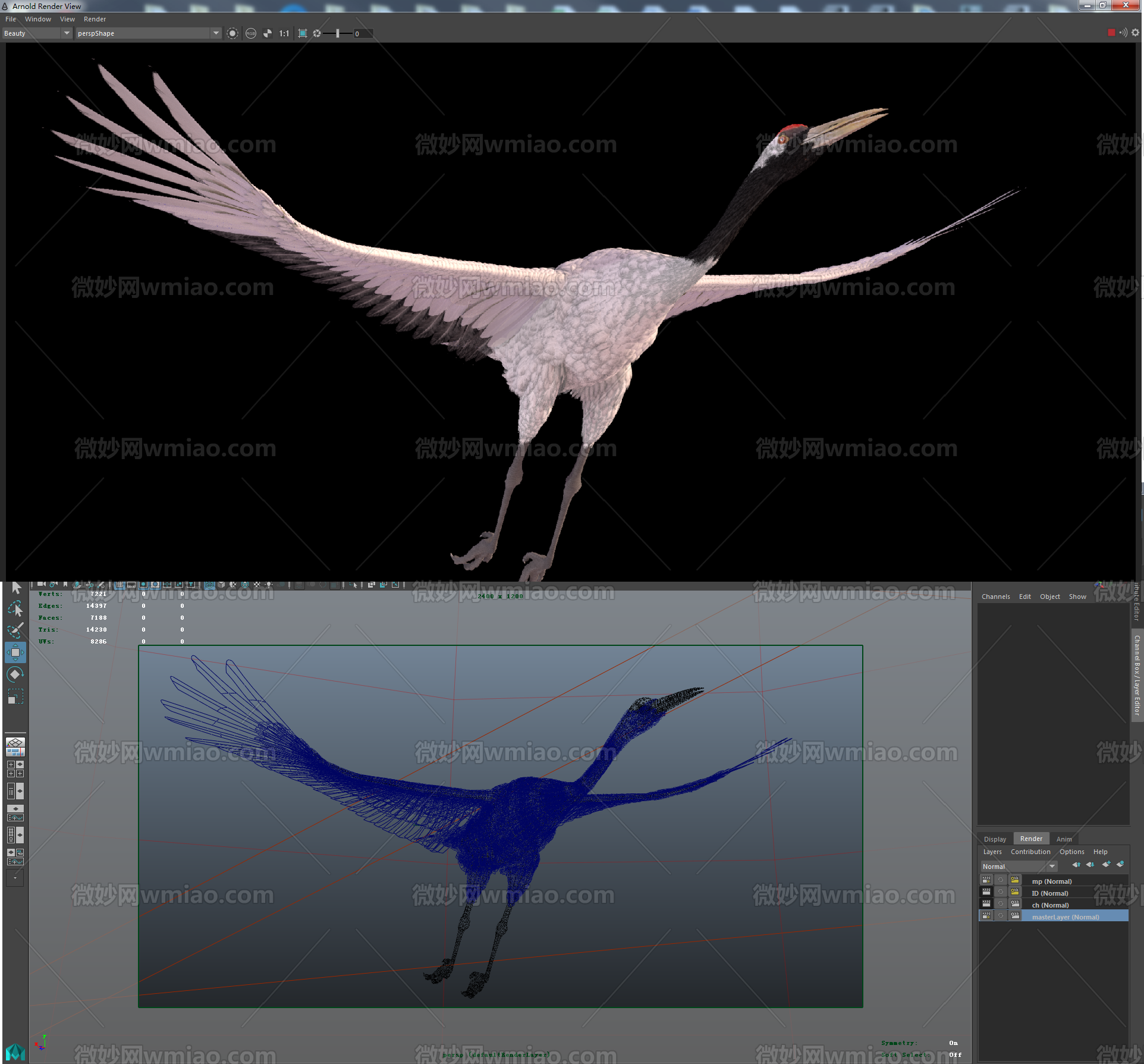 写实仙鹤 鹤Maya模型 飞行类鸟类动物CG模型下载_正版模型下载_动物模型下载 - 微妙网wmiao.com