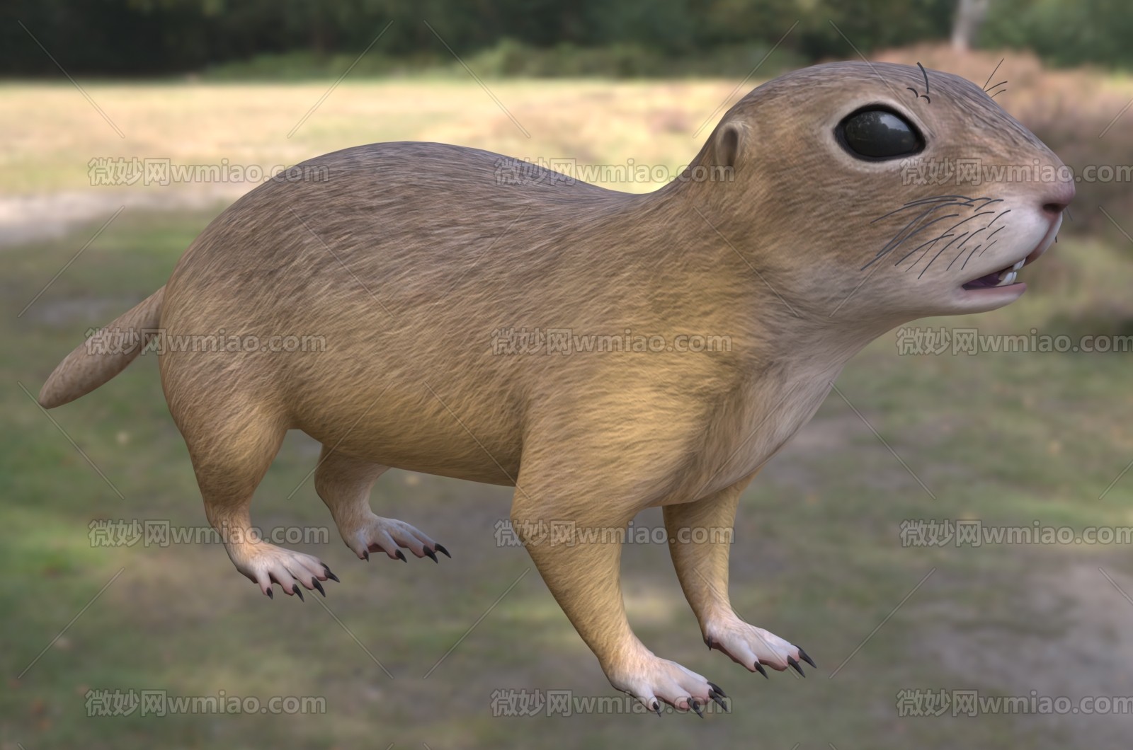 ŷ޵-1