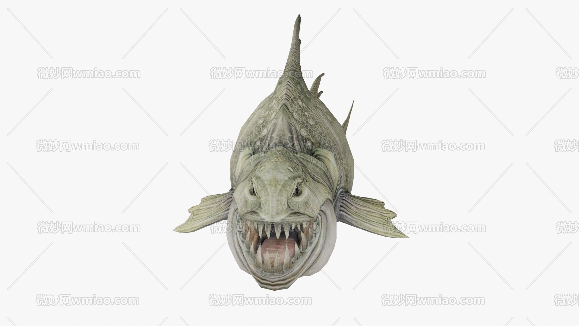Fang Tooth һ 3 Ӯ 3D ģ-3